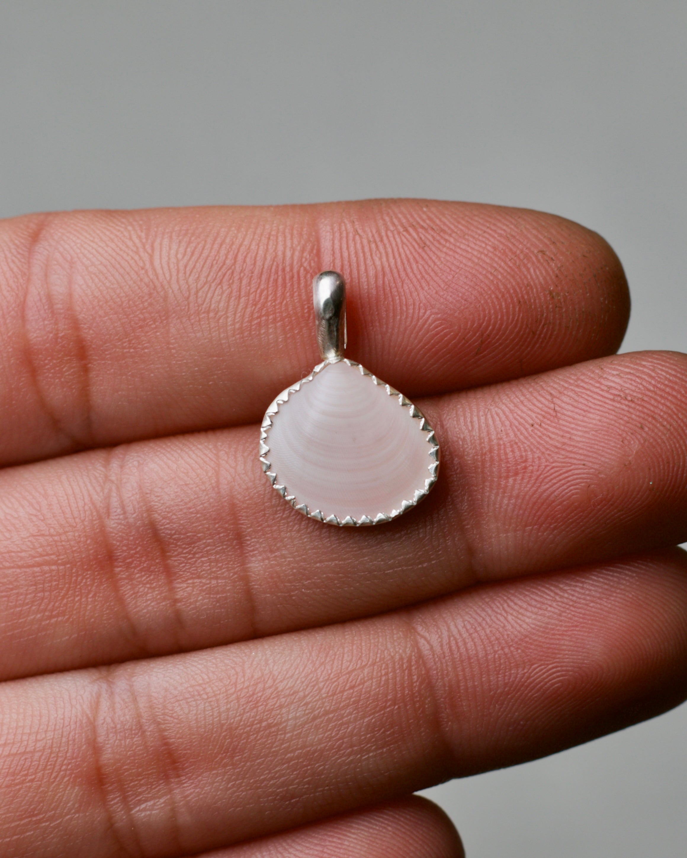 Shell Pendant