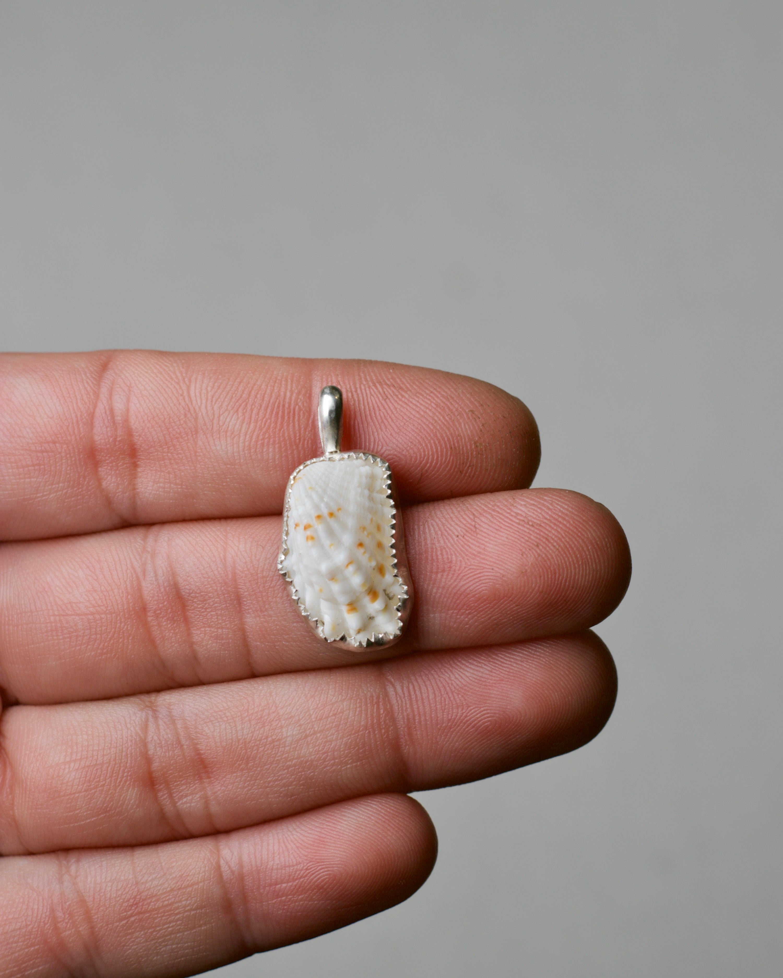 Shell Pendant
