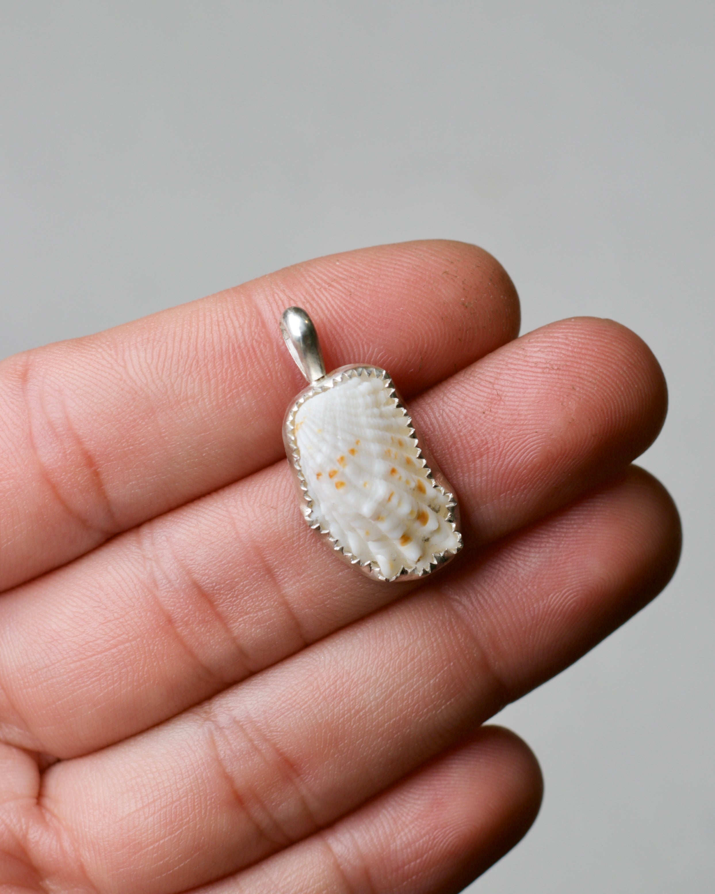 Shell Pendant