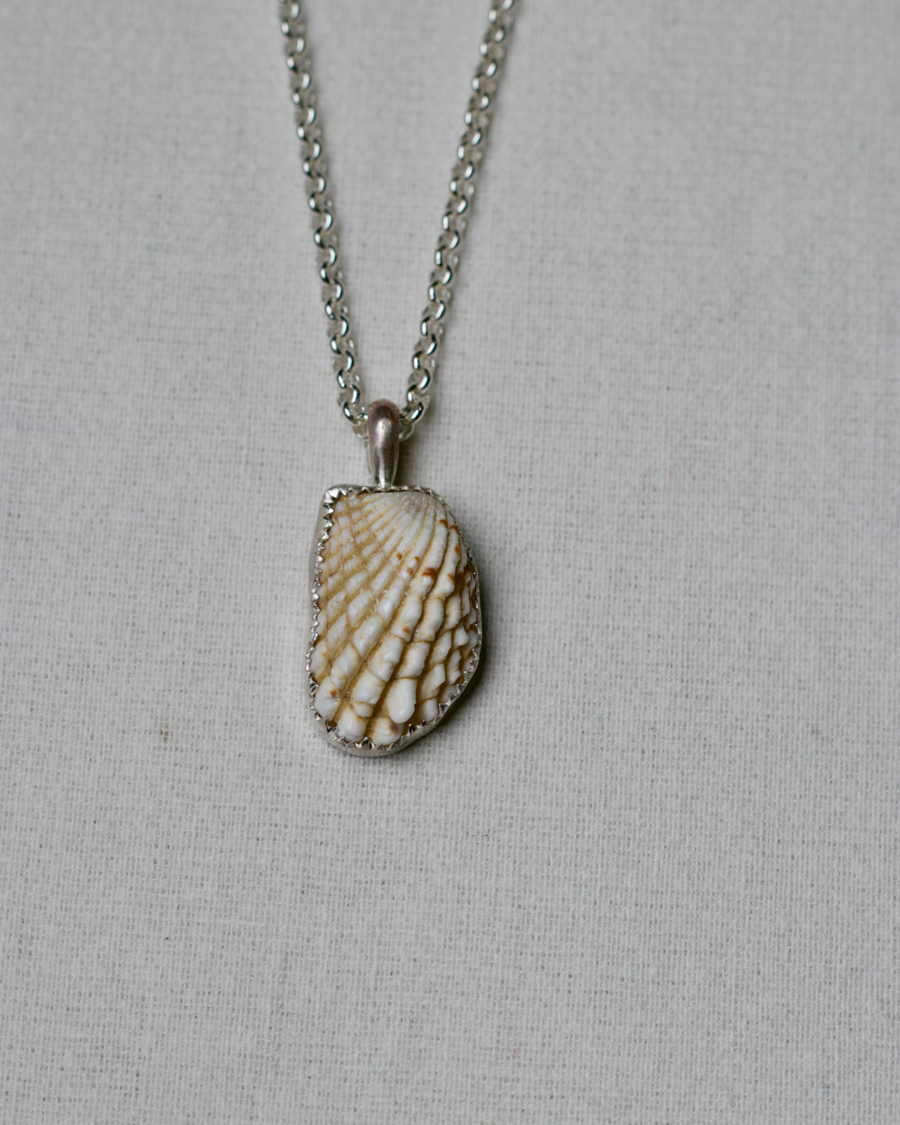 Shell Pendant