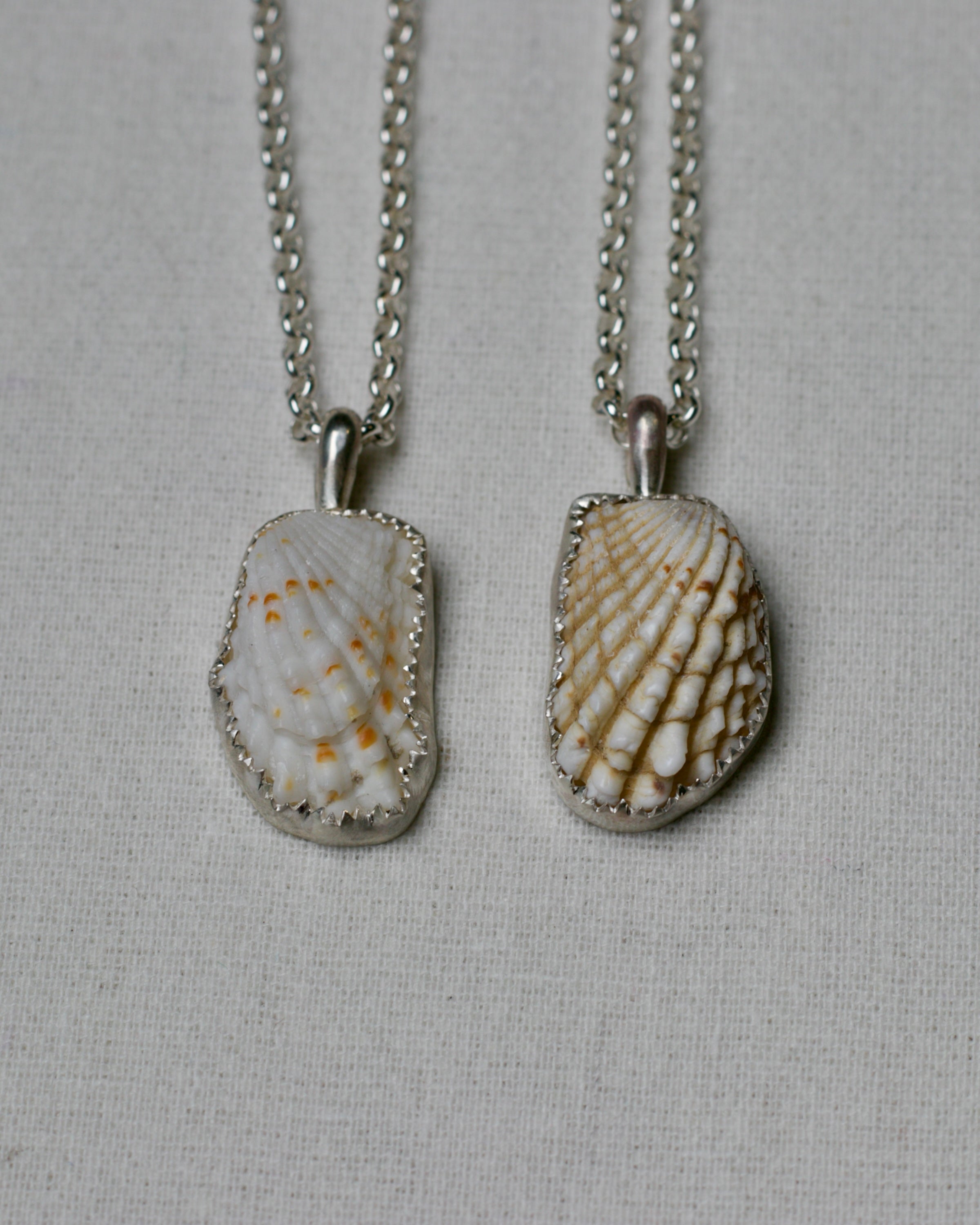 Shell Pendant