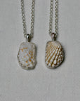 Shell Pendant