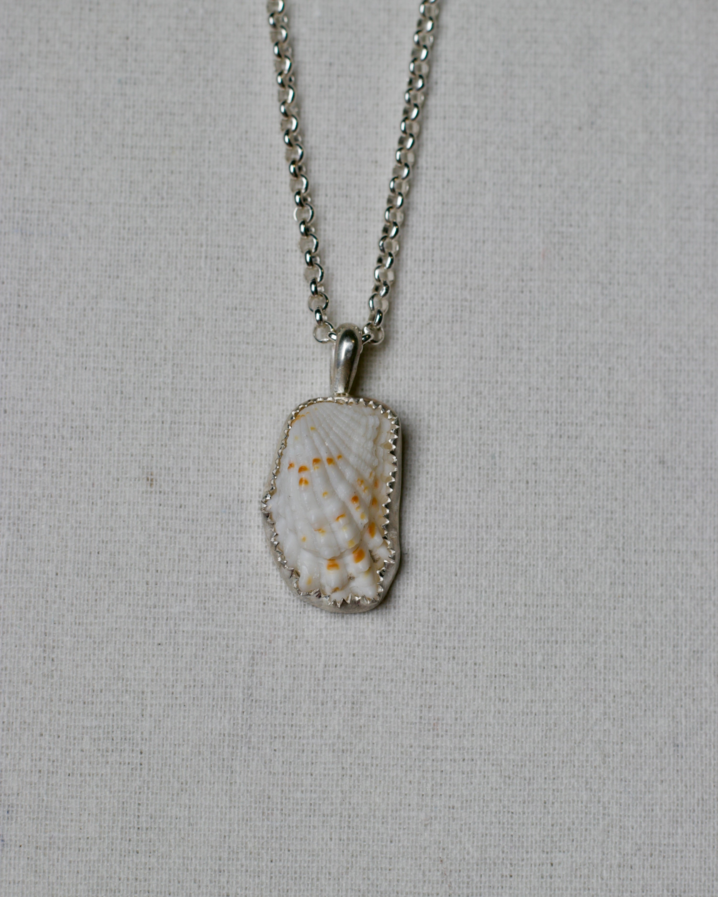 Shell Pendant
