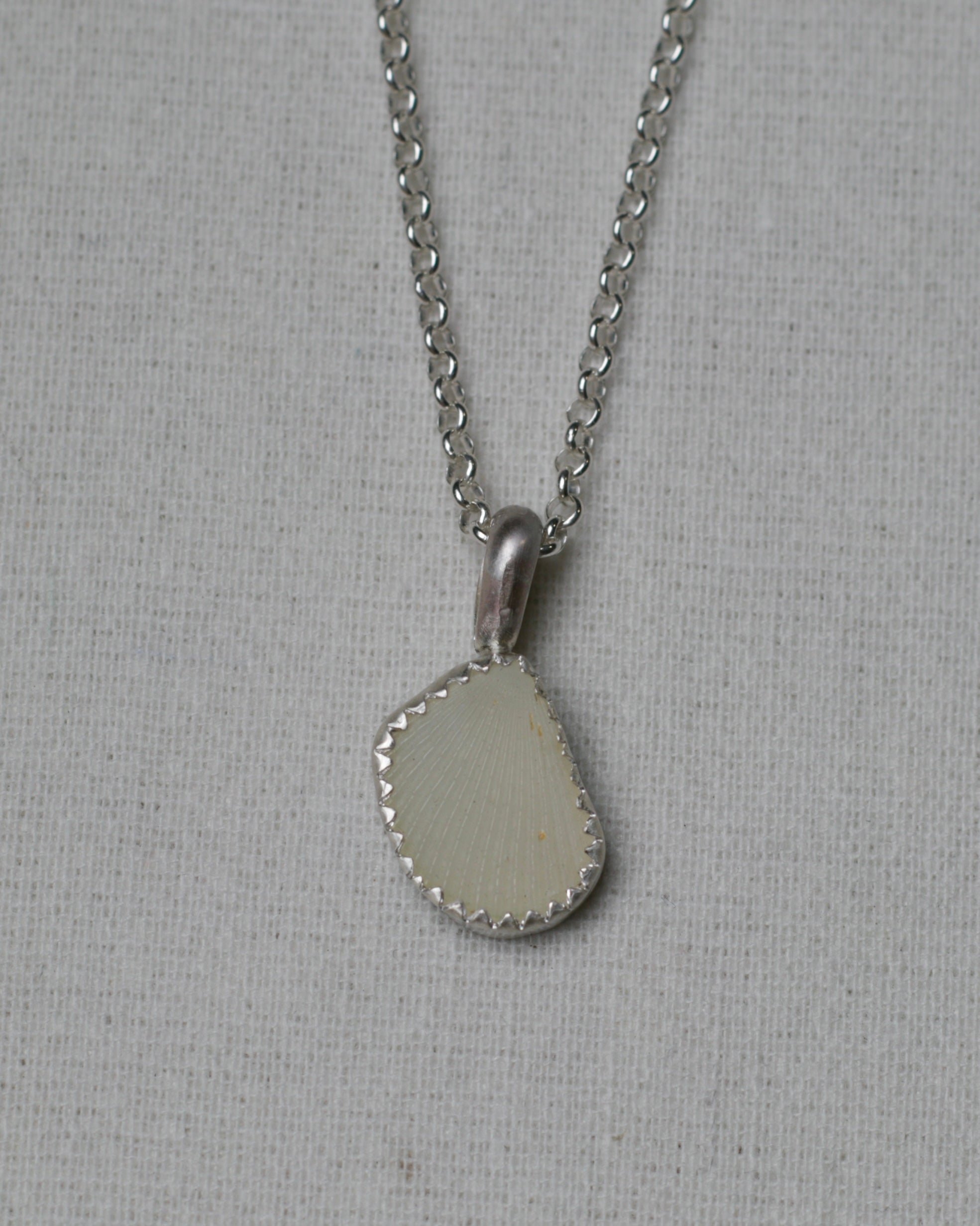 Shell Pendant