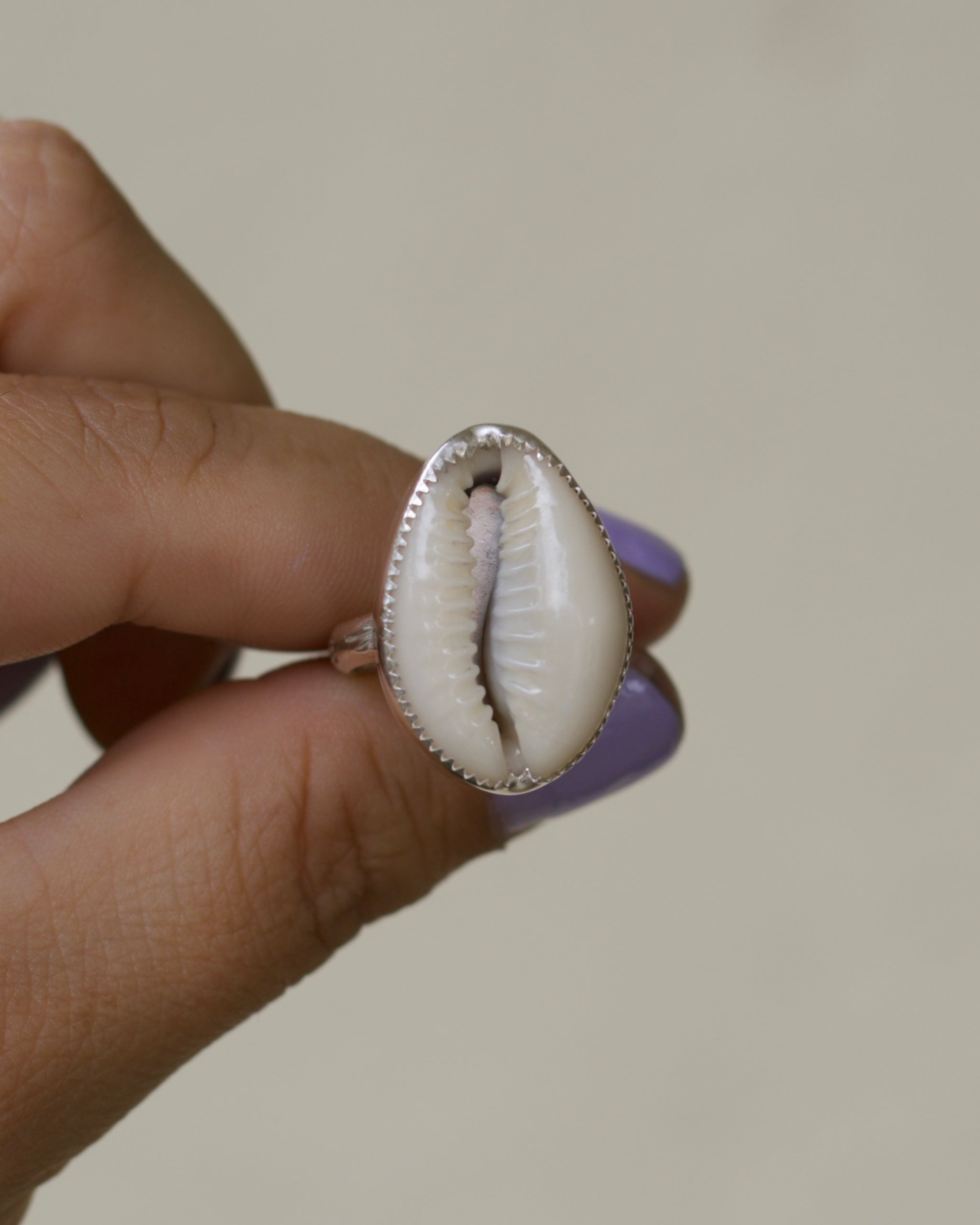 Cowries Shell Ring size 7