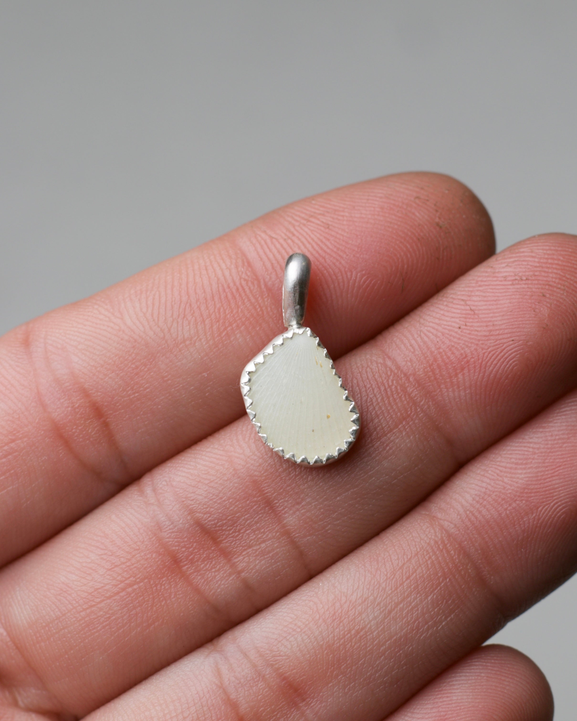 Shell Pendant