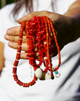 Coral and Shell Necklace in Gold 