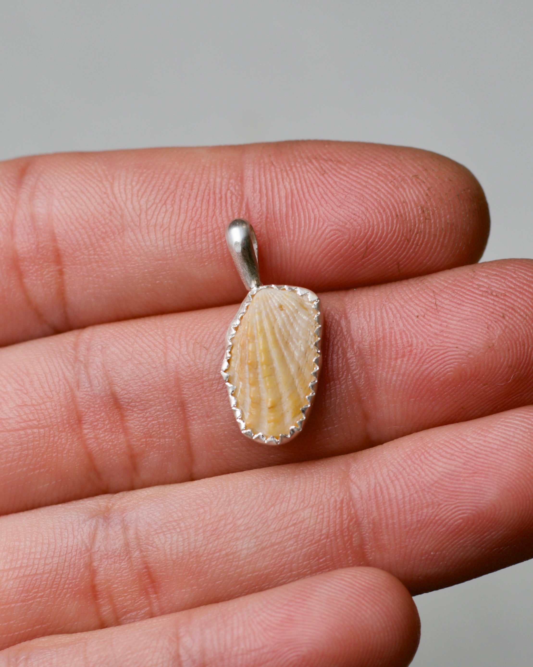 Shell Pendant 