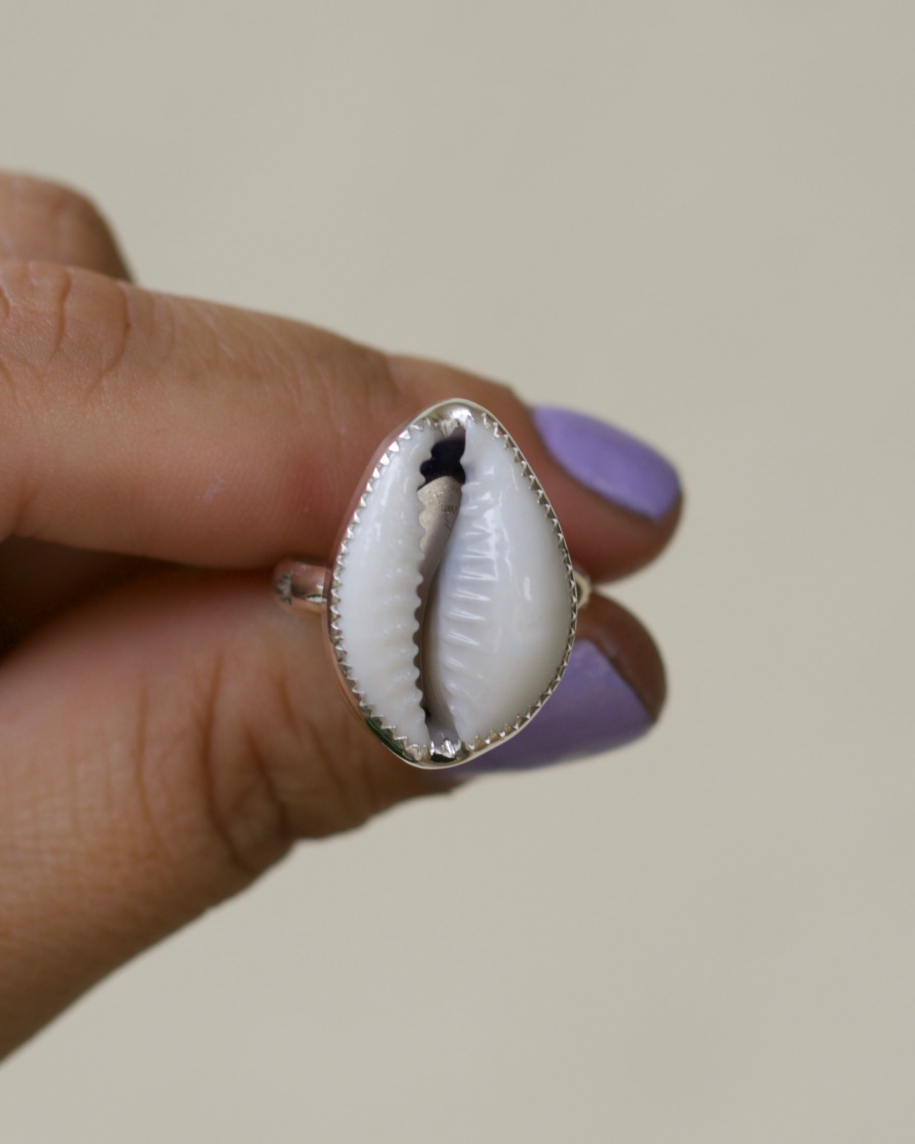 Cowries Shell Ring size 8