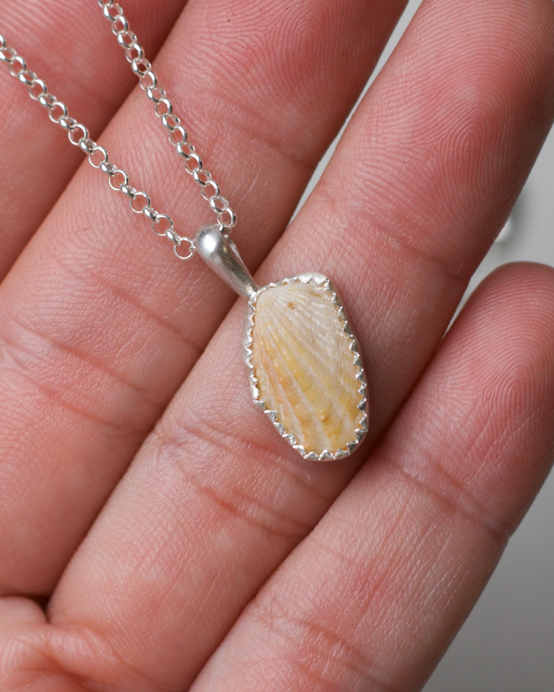 Shell Pendant 