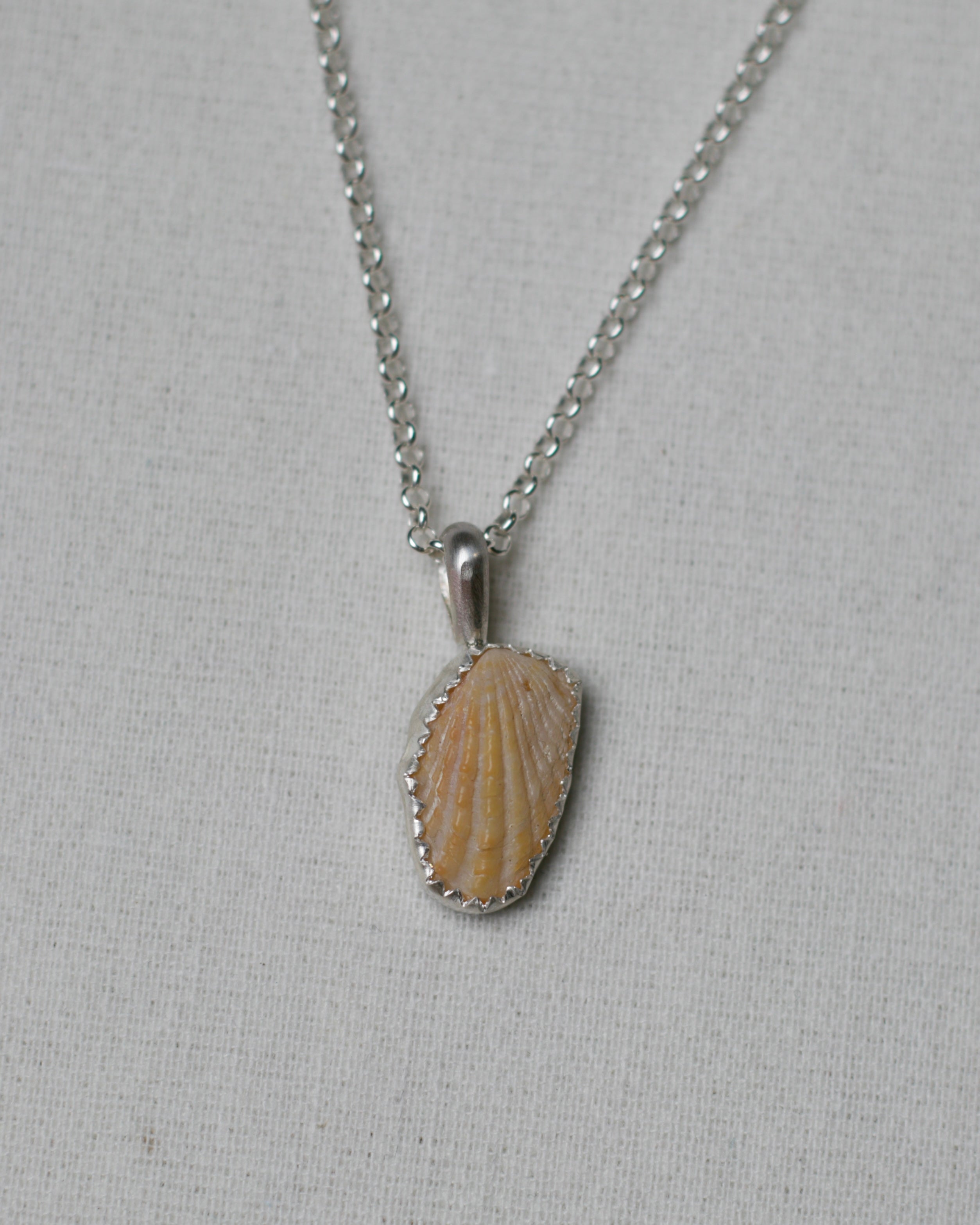 Shell Pendant 