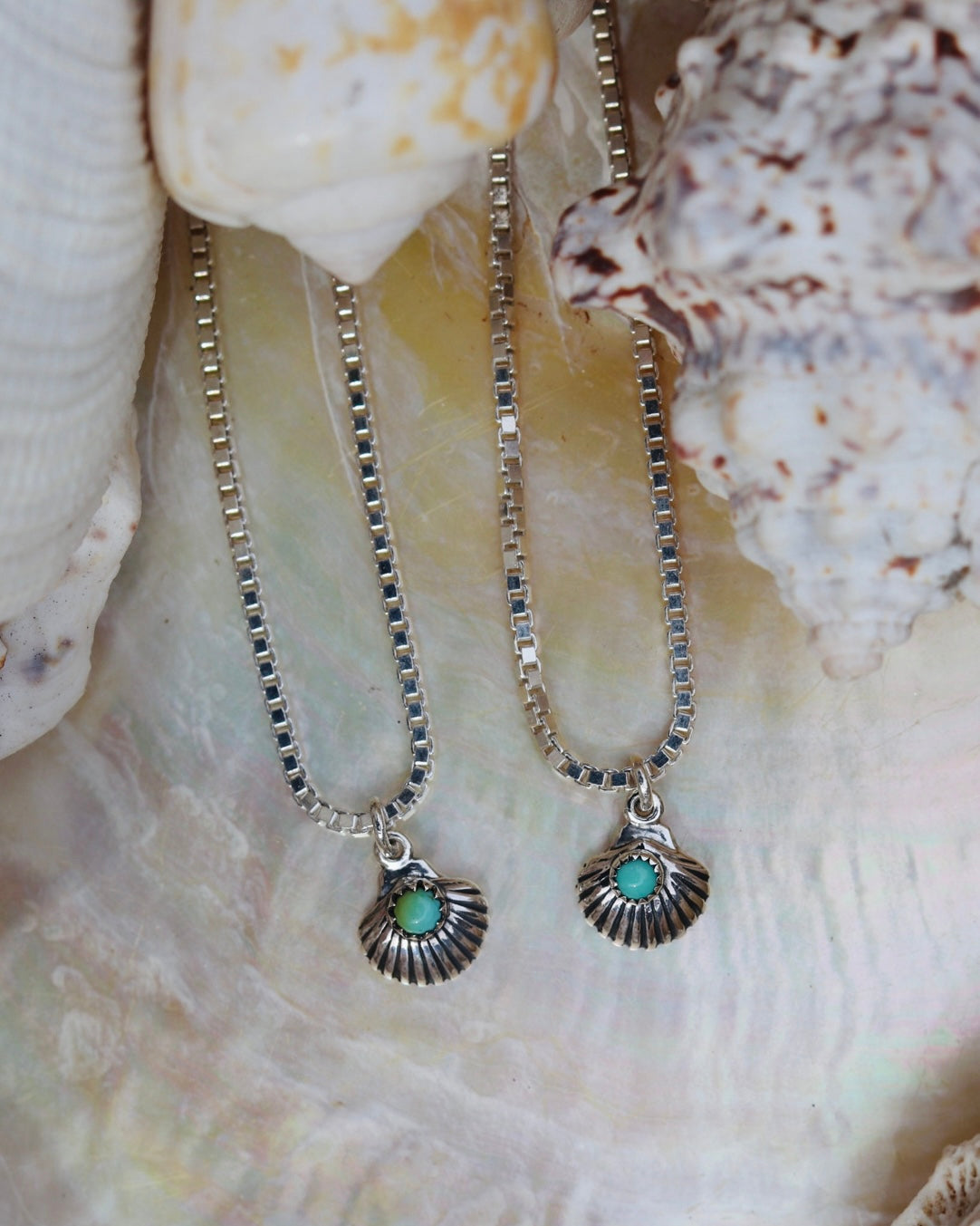 Turquoise Shell Necklace.
